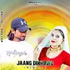 About Jaang Dikhawe (Mewati) Song